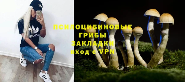 дурь Алзамай