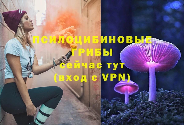 ECSTASY Алексеевка