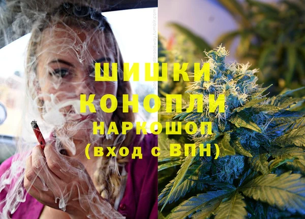 дурь Алзамай