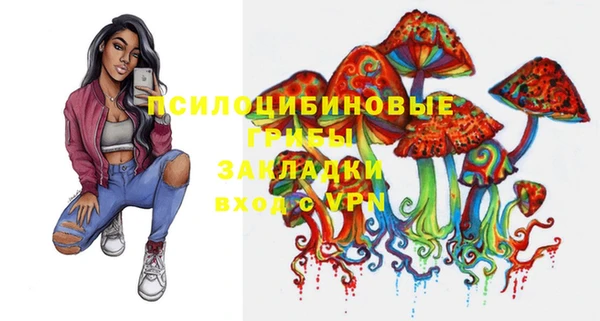 ECSTASY Алексеевка